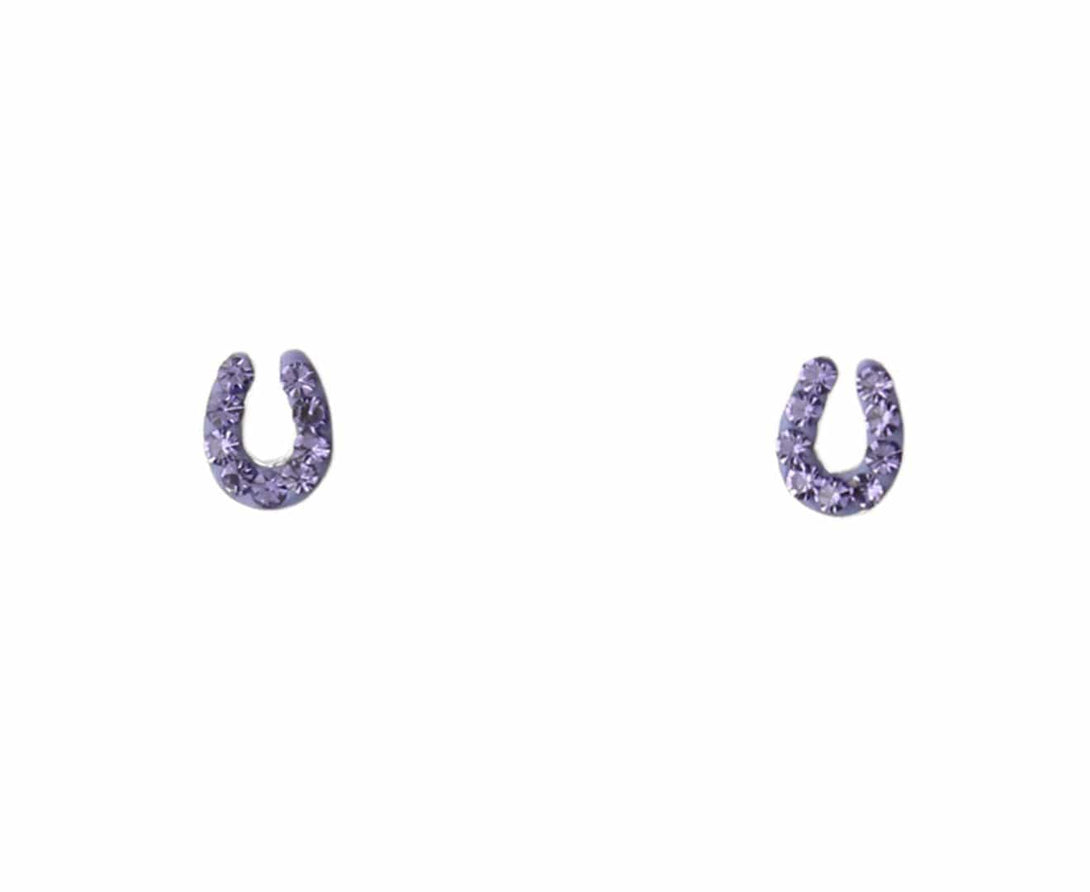 Children's Silver Horseshoe Crystal Earring Set